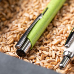 Stylo en fibre de blé et ABS