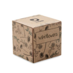 Boule de graines de fleurs sauvages