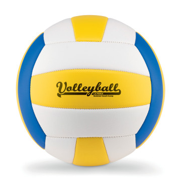 Ballon de volley-ball