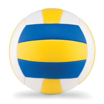 Ballon de volley-ball