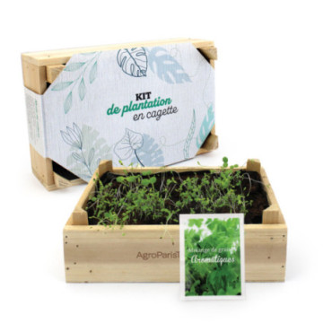 Kit de plantation en cagette