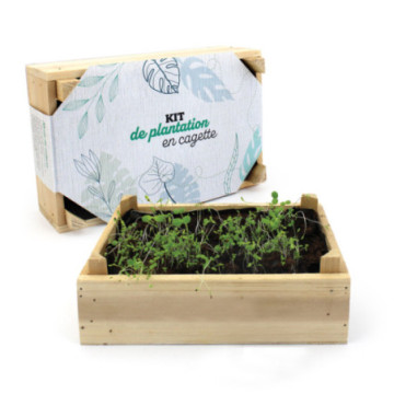 Kit de plantation en cagette
