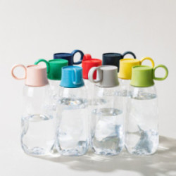 Bouteille  500 mL Gobi® Street