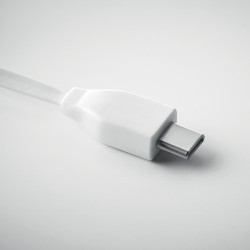 Câble de charge porte-clés 10W en bambou