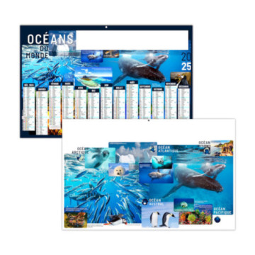 Calendrier bancaires rigide maxi 65x40,5 cm dos carte marq quadri