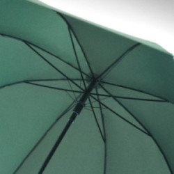 Parapluie à ouverture automatique