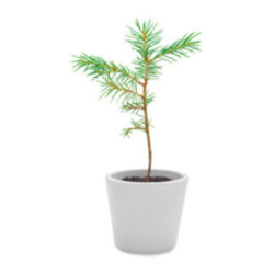 Carnet à spirales A5 avec graines