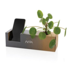 Bouteille Avira® en rPET 500 mL