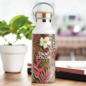 Bouteille isotherme 500 mL