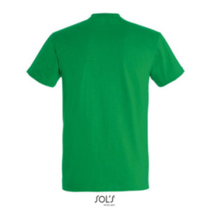 Tee-shirt homme couleur Express Sol's® Impérial