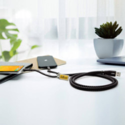 Câble zippé R FunZip® 2 connectiques