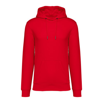 Sweat-shirt à capuche Native Spirit® en coton bio