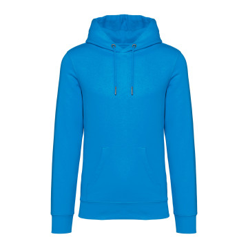 Sweat-shirt à capuche Native Spirit® en coton bio