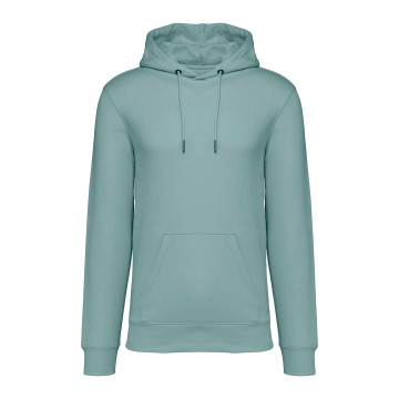 Sweat-shirt à capuche Native Spirit® en coton bio