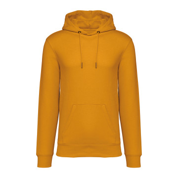 Sweat-shirt à capuche Native Spirit® en coton bio