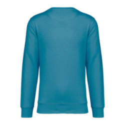 Sweat-shirt mixte Native Spirit® en coton bio et polyester recyclé