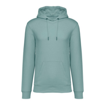 Sweat-shirt à capuche Native Spirit® en coton bio