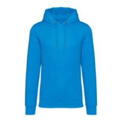 Sweat-shirt unisexe à capuche Native Spirit® en coton bio