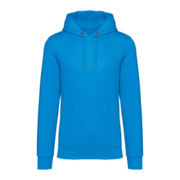 Sweat-shirt à capuche Native Spirit® en coton bio
