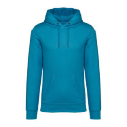 Sweat-shirt unisexe à capuche Native Spirit® en coton bio