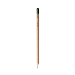 Crayon de papier à planter