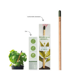 Crayon de papier à planter