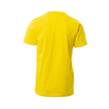 Tee-shirt homme Payper® V-neck col V couleur
