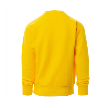 Sweat-shirt homme Payper® Mistral+ couleur