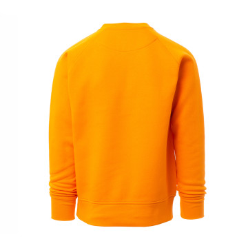 Sweat-shirt homme Payper® Mistral+ couleur