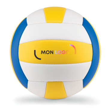 Ballon de volley-ball