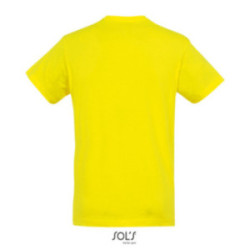 Tee-shirt homme couleur Express Sol's® Régent