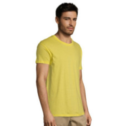 Tee-shirt homme couleur Express Sol's® Régent