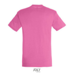 Tee-shirt homme couleur Express Sol's® Régent