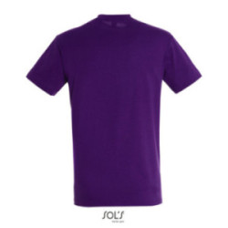 Tee-shirt homme couleur Express Sol's® Régent
