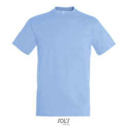 Tee-shirt homme couleur Express Sol's® Régent