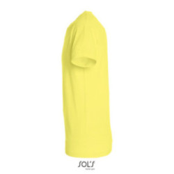 Tee-shirt homme couleur Express Sol's® Régent