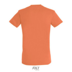 Tee-shirt homme couleur Express Sol's® Régent