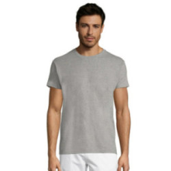 Tee-shirt homme couleur Express Sol's® Régent