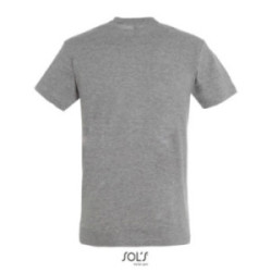 Tee-shirt homme couleur Express Sol's® Régent