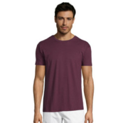 Tee-shirt homme couleur Express Sol's® Régent