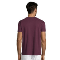 Tee-shirt homme couleur Express Sol's® Régent