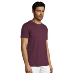 Tee-shirt homme couleur Express Sol's® Régent