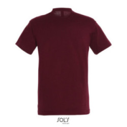 Tee-shirt homme couleur Express Sol's® Régent