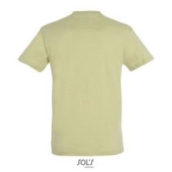 Tee-shirt homme couleur Express Sol's® Régent