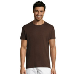 Tee-shirt homme couleur Express Sol's® Régent