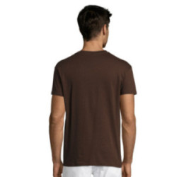 Tee-shirt homme couleur Express Sol's® Régent
