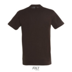 Tee-shirt homme couleur Express Sol's® Régent
