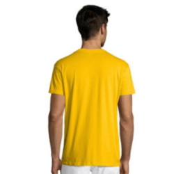 Tee-shirt homme couleur Express Sol's® Régent