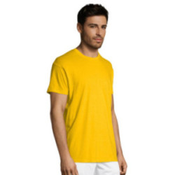 Tee-shirt homme couleur Express Sol's® Régent