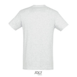 Tee-shirt homme couleur Express Sol's® Régent